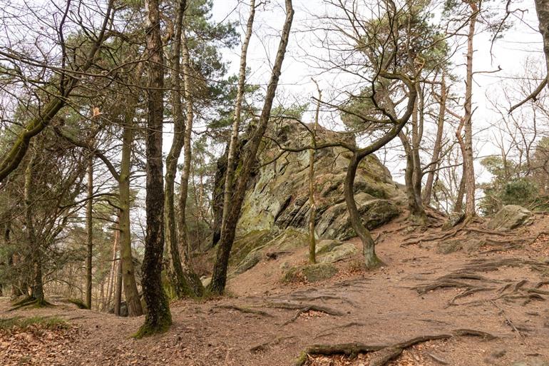 Dörenther Klippen - Hockende Weib