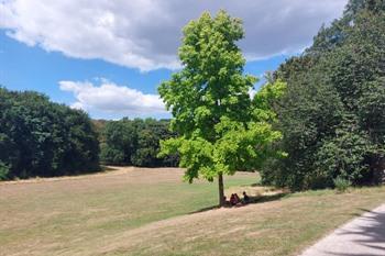 Drie Fonteinen park in Vilvoorde, Vlaams-Brabant