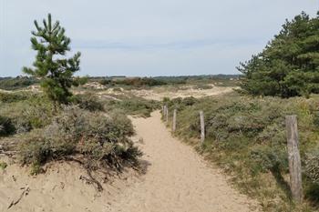 Dune de la Slack - Côte d'Opale