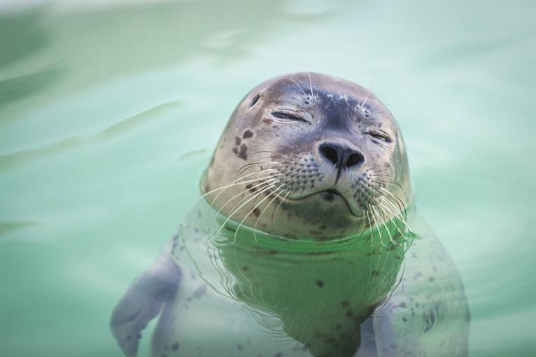 Ecomare bezoeken met kinderen