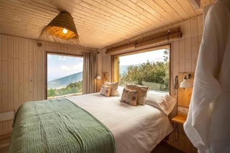 El Pino Centenario 3 boeken