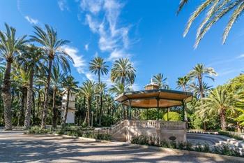 Elche, Palmeral