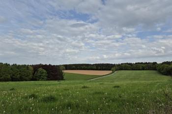 Etappe 3 - Transardennaise: Saint-Hubert naar Nassogne 