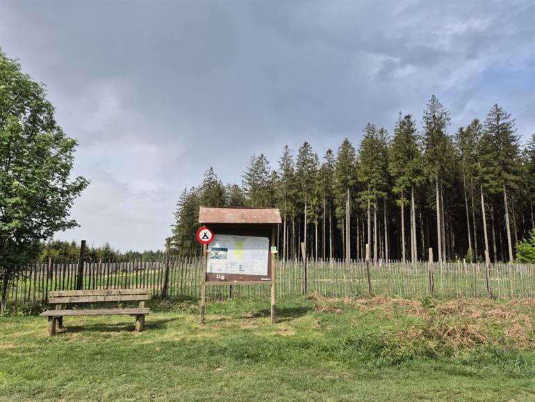Etappe 3 - Transardennaise: Saint-Hubert naar Nassogne 