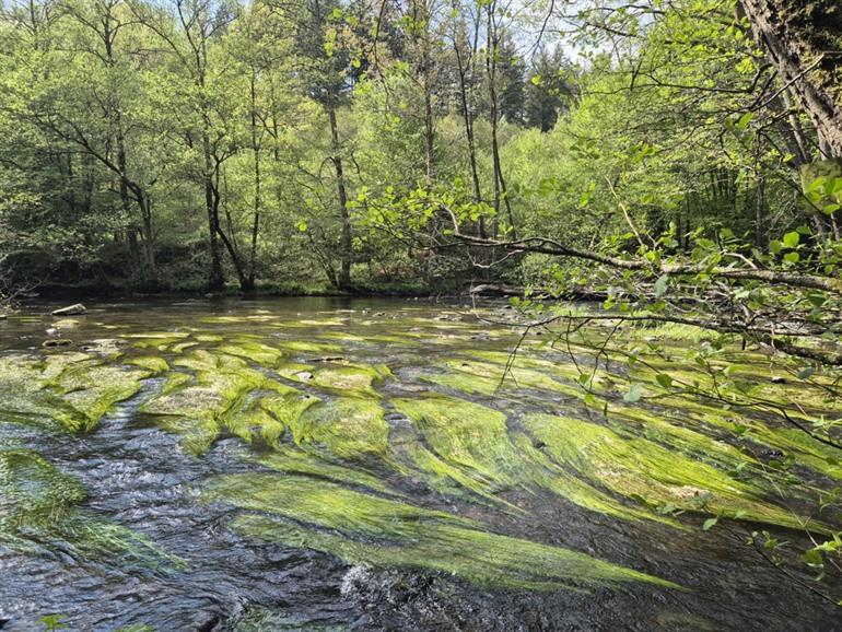 Etappe 4 - Transardennaise: Nassogne - Mirwart