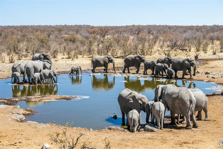 Etosha National Park Namibia