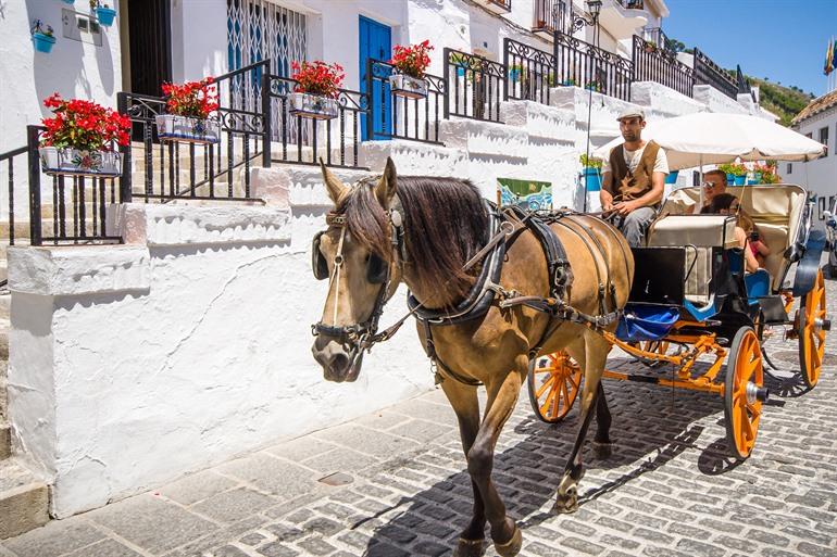 Ezeltaxi in Mijas