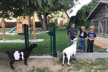 Familieboerderij Strassbauer boeken