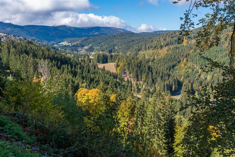 Feldberg in het Zwarte Woud