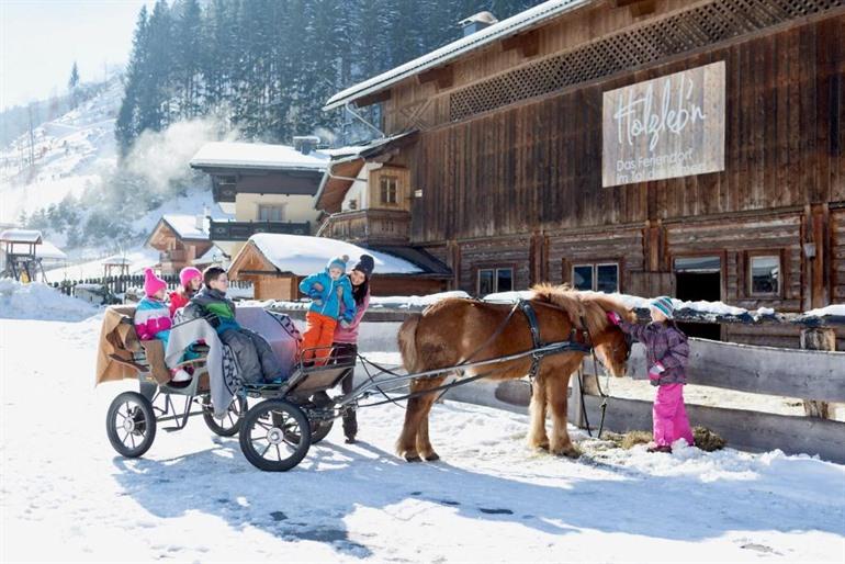 Feriendorf Holzlebn boeken
