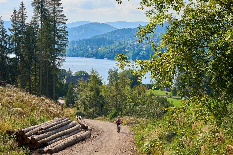 Fietsen aan de Titisee