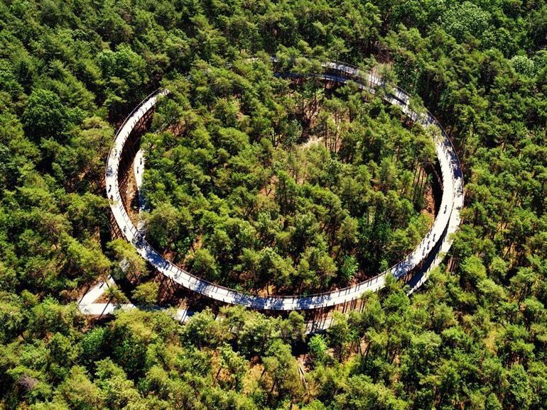 Fietsen door de Bomen Hechtel-Eksel