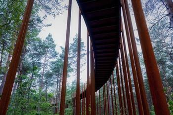 Fietsen door de Bomen Hechtel-Eksel