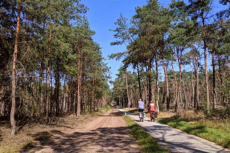 Fietsen door de bossen van het Nationaal Park