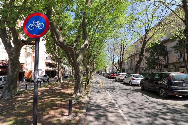 Fietsen door de rechte straten van La Plata