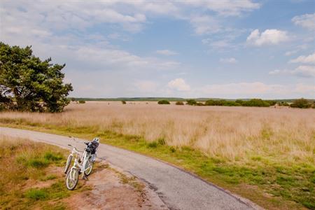 Fietsen in de Hoge Veluwe, Gelderland
