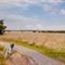Fietsen in de Hoge Veluwe, Gelderland