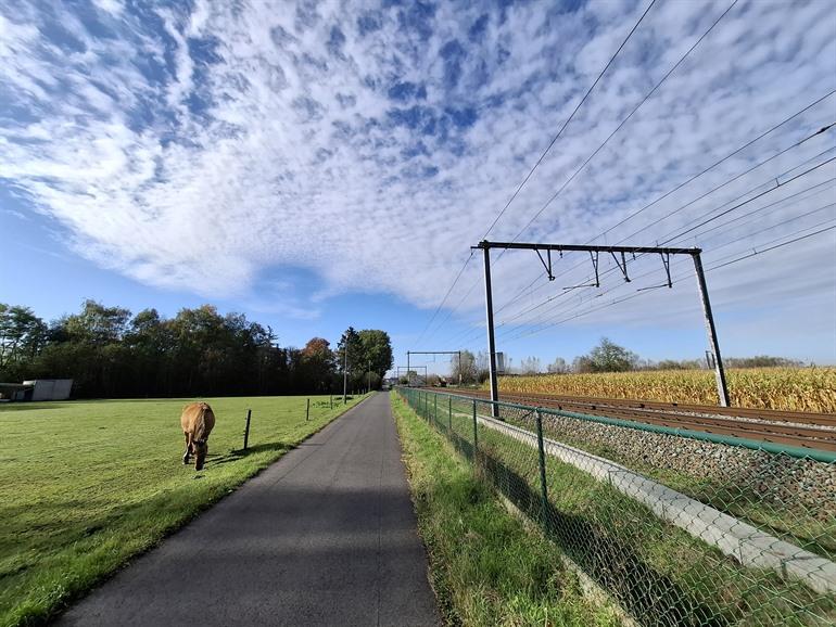 Fietsen langs de spoorlijn tussen Gent en Kortrijk