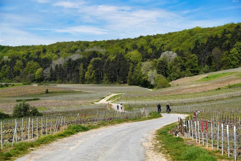 Fietsen langs de wijngaarden van de Champagne, Epernay