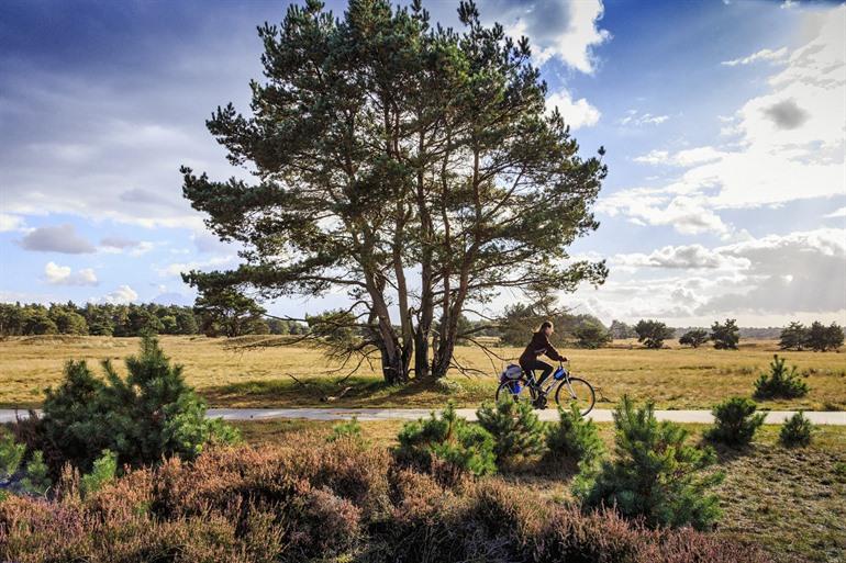 Fietsen op de Hoge Veluwe