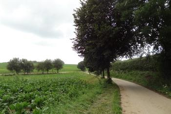 Fietsroute Alden Biesen - Tongeren