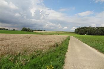 Fietsroute Alden Biesen - Tongeren