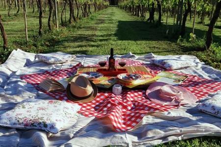 Fietstour langs de wijngaarden door de Toscaanse heuvels mét picknick