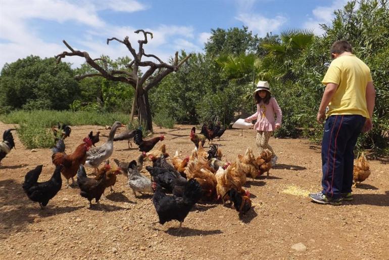 Finca Ses Cases Noves boeken