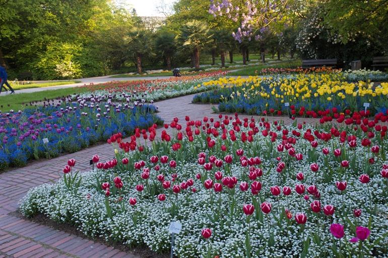 Flora Botanische Tuin in Keulen, Duitsland 