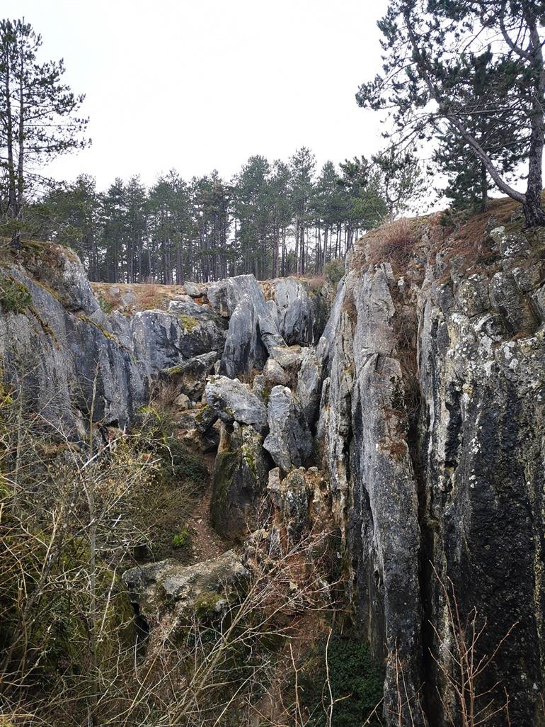 Fondry Des Chiens wandelroute