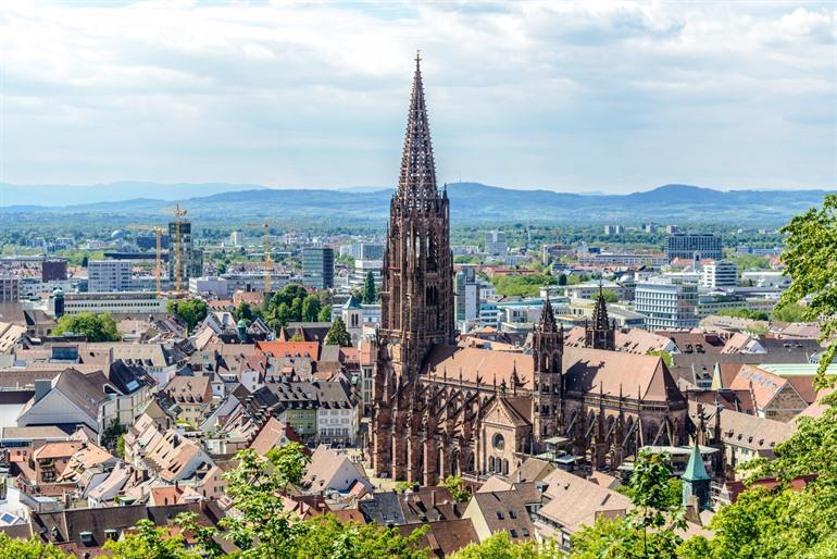 Freiburg Münster, Zwarte Woud