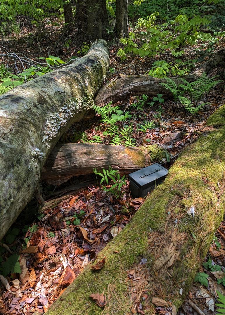 Ga op geocaching-avontuur