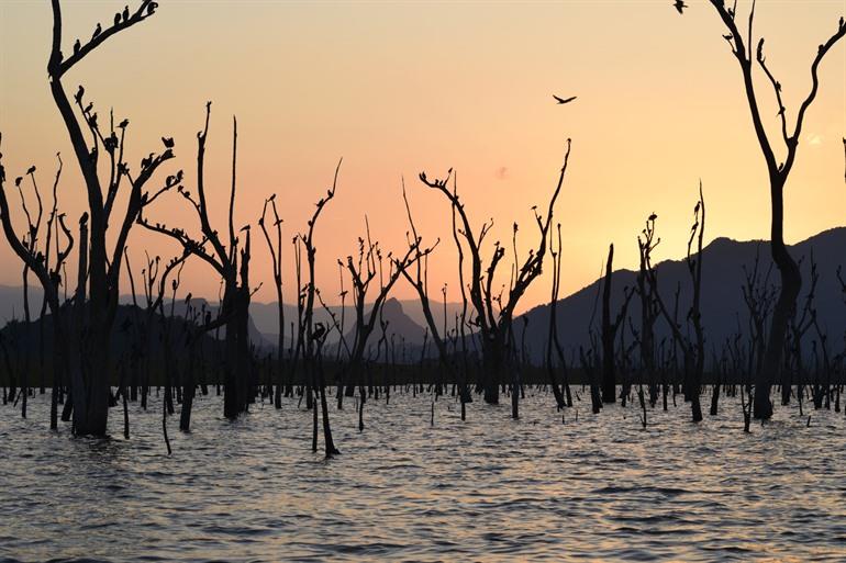 Gal Oya National Park