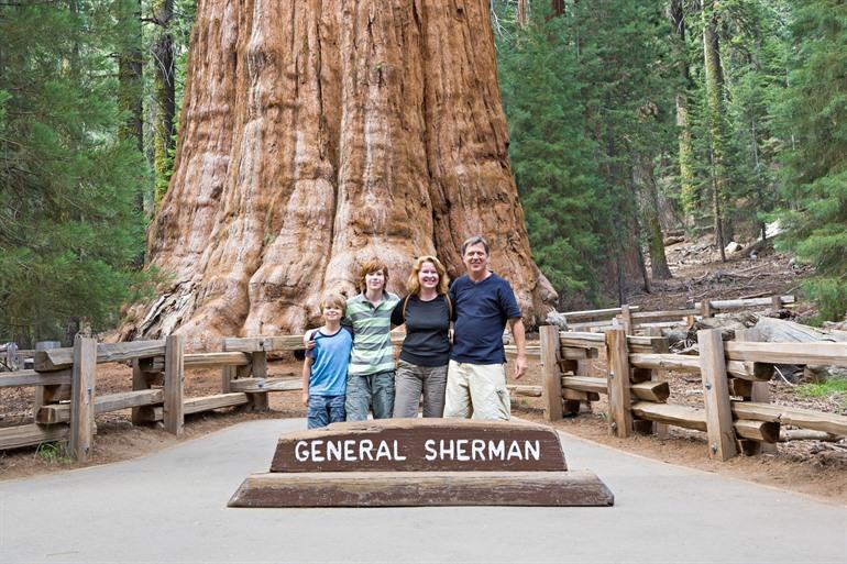 General Sherman Tree in Sequoia National Park
