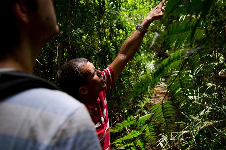 Gids in het Parque Nacional Alejandro De Humboldt, Cuba