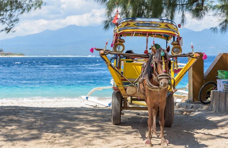 Gili Trawangan paard en kar