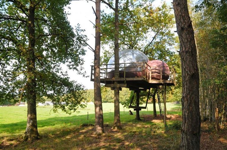 Glamping in Fisenne, Ardennen
