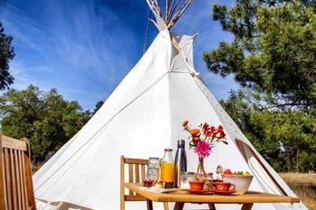 Goodmuda Tipi's boeken