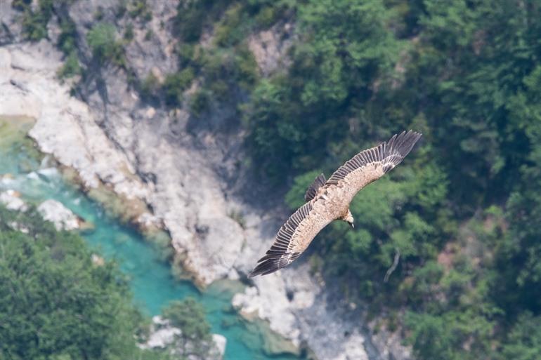 Gorges du Verdon