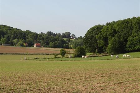 Hagelandse Eddy Merckxroute