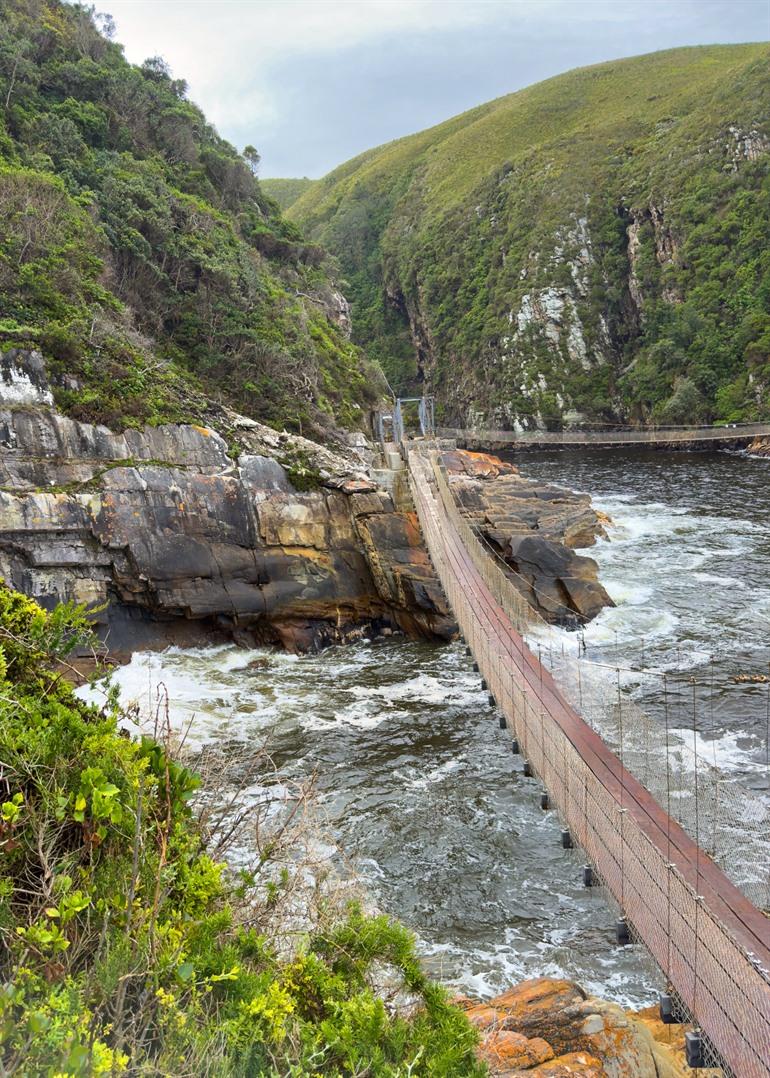 Hangbrug in het Tsitsikamma National Park 