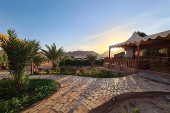 Hasan Zawaideh Camp boeken