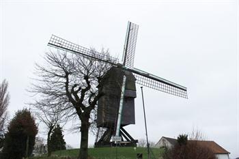 Hertboommolen (Zepposmolen) in Roosdaal