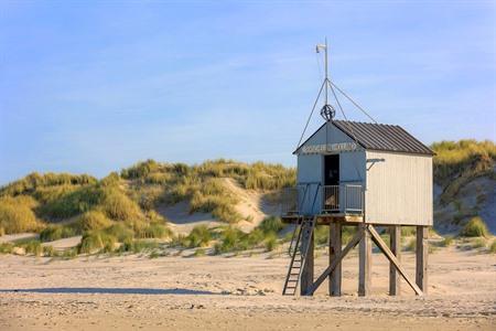 Wat te doen op het Waddeneiland Terschelling: top 16 mooiste bezienswaardigheden
