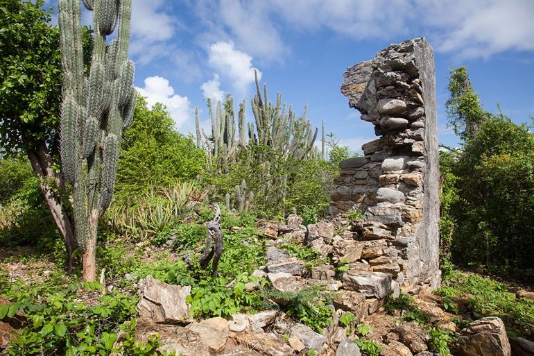 Het Christoffelpark in Curaçao