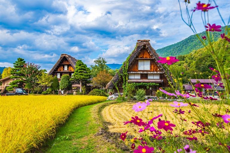 Het dorp Shirakawa-go