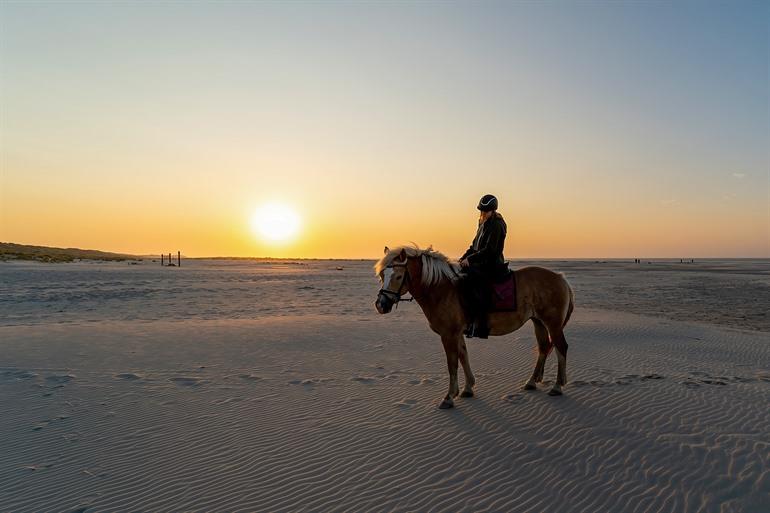 Het eiland verkennen te paard