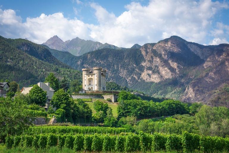 Het kasteel van Aymavilles omringd door de wijngaarden