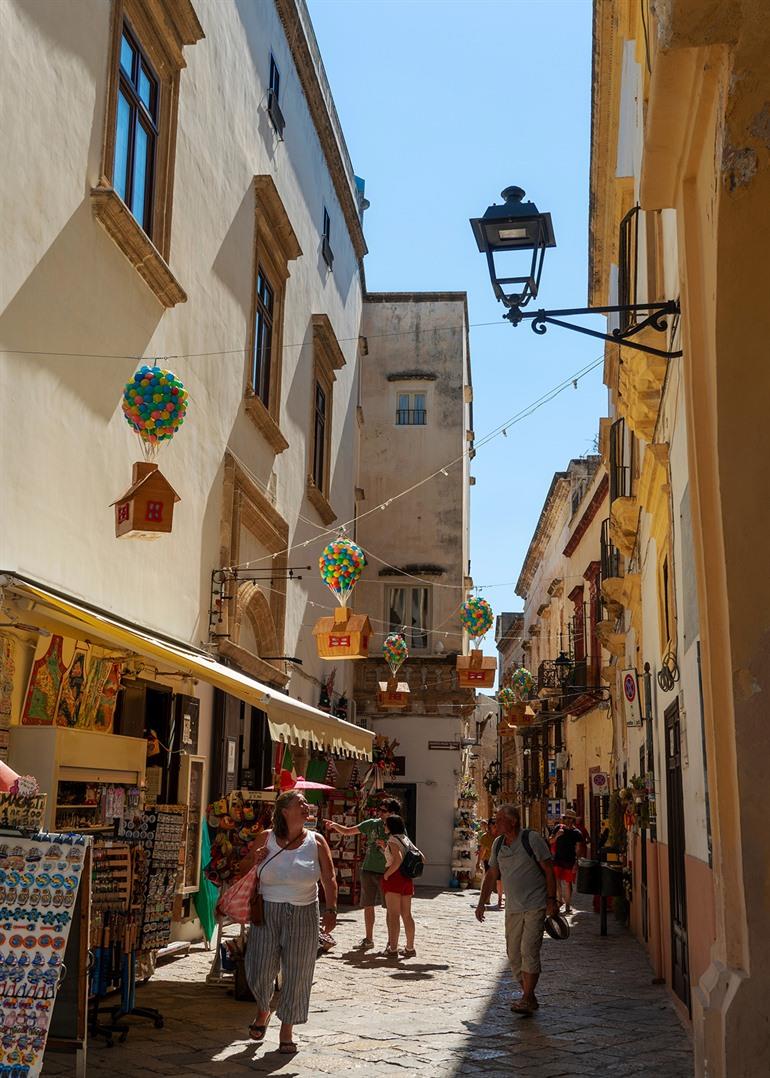 Het oude vissersplaatsje Gallipoli