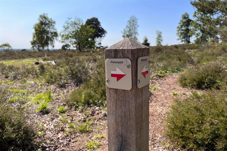 Het Pieterpad loopt door de Sallandse Heuvelrug